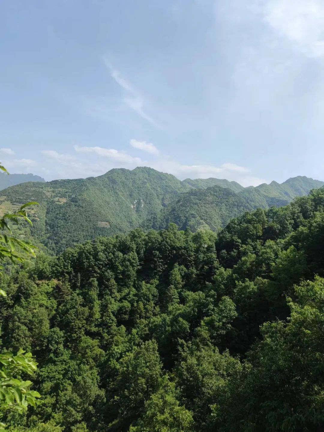 徒步旅行 山中禅修 瑜伽 断食 第 8 张