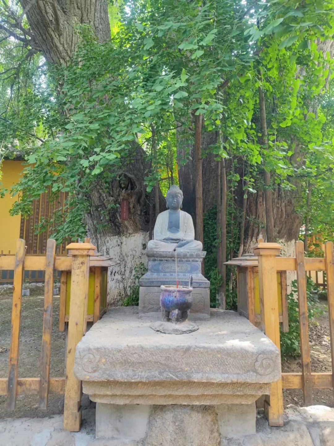 徒步旅行 山中禅修 瑜伽 断食 第 7 张 徒步旅行 山中禅修 瑜伽 断食 第 7 张