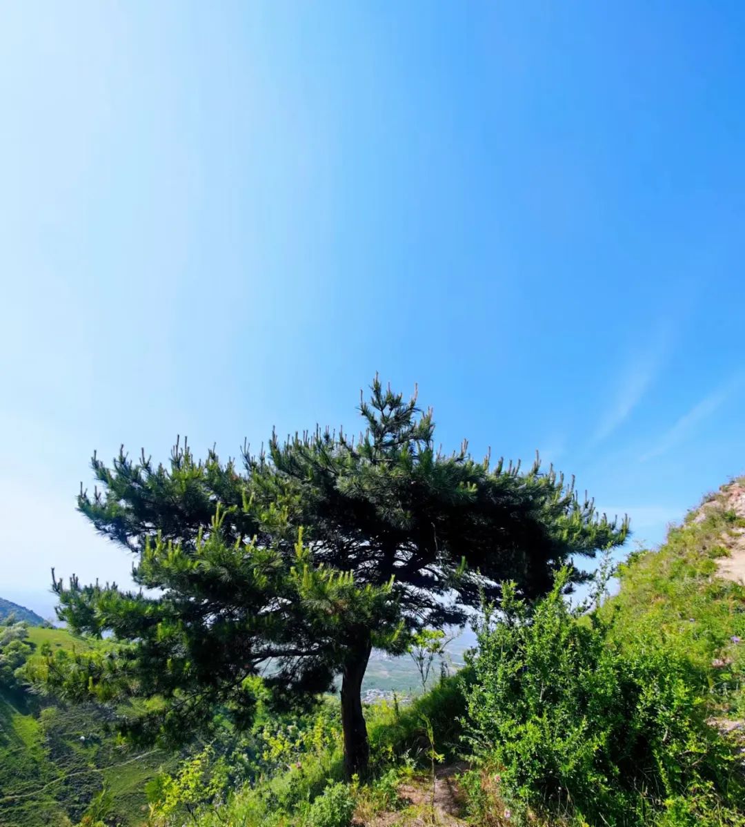  徒步旅行 山中禅修 瑜伽 断食 第 11 张 
