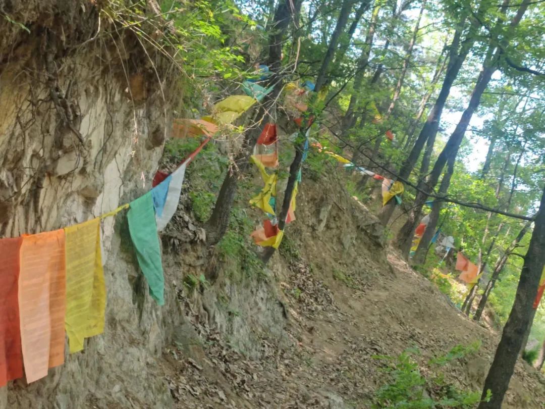 徒步旅行 山中禅修 瑜伽 断食 第 10 张 徒步旅行 山中禅修 瑜伽 断食 第 10 张