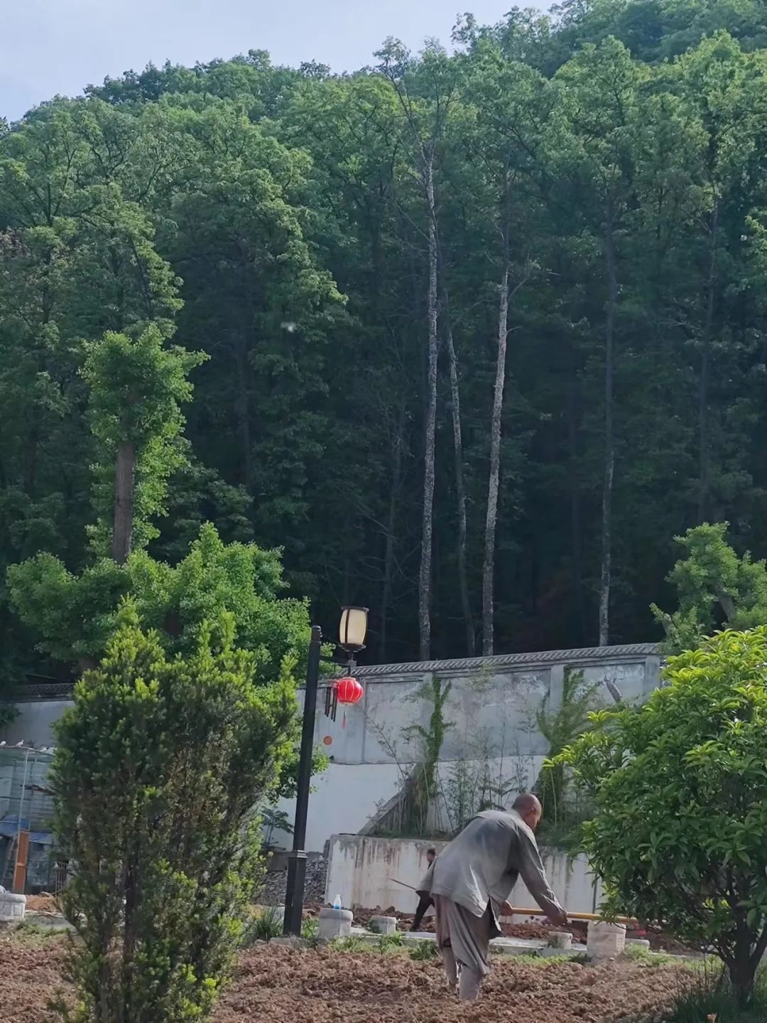 徒步旅行 山中禅修 瑜伽 断食 第 18 张 徒步旅行 山中禅修 瑜伽 断食 第 18 张
