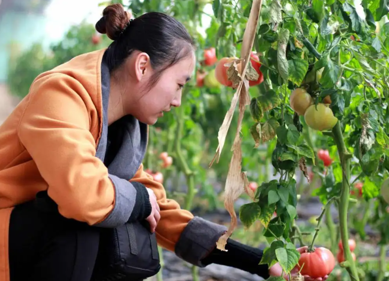 认领一块土地,享受农耕体验 断食 瑜伽静坐 潜意识 瑜伽脉轮 瑜伽疗愈 第 5 张 认领一块土地,享受农耕体验 断食 瑜伽静坐 潜意识 瑜伽脉轮 瑜伽疗愈 第 5 张