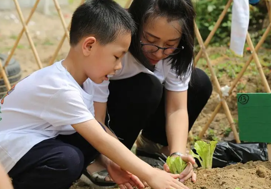 认领一块土地，享受农耕体验 断食 瑜伽静坐 潜意识 瑜伽脉轮 瑜伽疗愈 第 6 张