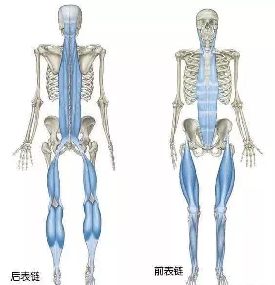 小腿肌肉僵硬紧绷? 解决方案! 小腿肌肉僵硬紧绷 筋膜放鬆拉伸小腿的瑜伽动作 第 2 张