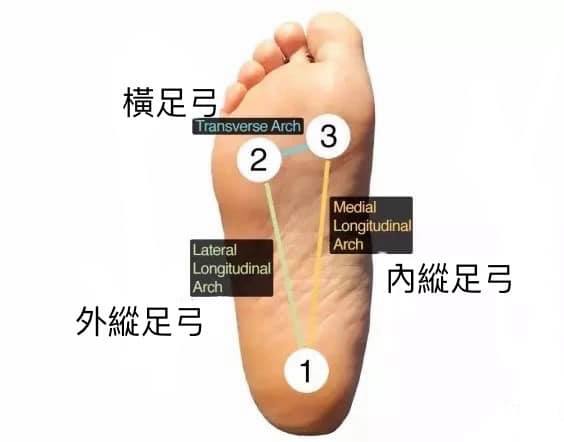 瑜伽时，身体的重量在脚上该如何分配?  第 2 张