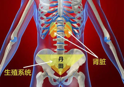 练习瑜伽,会让生理期不规律? 第 1 张 练习瑜伽,会让生理期不规律? 第 1 张