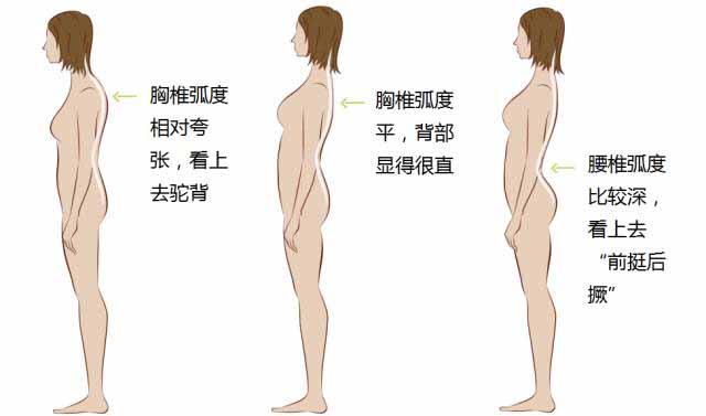 瑜伽中如何做到脊柱延伸练习? 第 2 张 瑜伽中如何做到脊柱延伸练习? 第 2 张