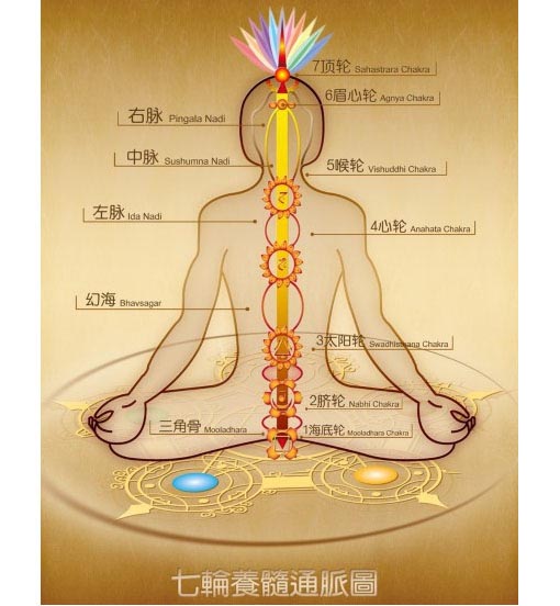 瑜伽练习中应该怎样加强力量练习(瑜伽中如何练力量) 第 3 张 瑜伽练习中应该怎样加强力量练习(瑜伽中如何练力量) 第 3 张