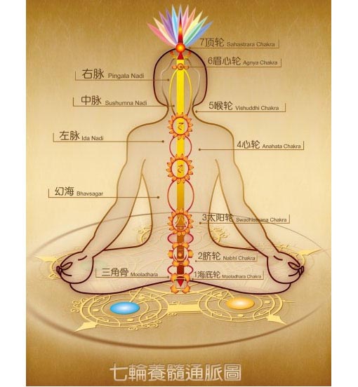 瑜伽练习中应该怎样加强力量练习（瑜伽中如何练力量）