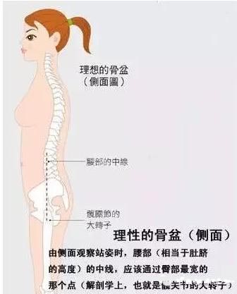 自测你的骨盆位置是否正确 第 1 张 自测你的骨盆位置是否正确 第 1 张