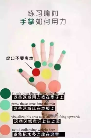 在瑜伽中,如何保护手腕不受伤? 第 2 张 在瑜伽中,如何保护手腕不受伤? 第 2 张