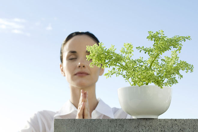 瑜伽中的 Vinyasa 是什么意思? 瑜伽体位法的由来 饮食 生命科学 瑜伽变化 瑜伽静坐 第 1 张 瑜伽中的 Vinyasa 是什么意思? 瑜伽体位法的由来 饮食 生命科学 瑜伽变化 瑜伽静坐 第 1 张