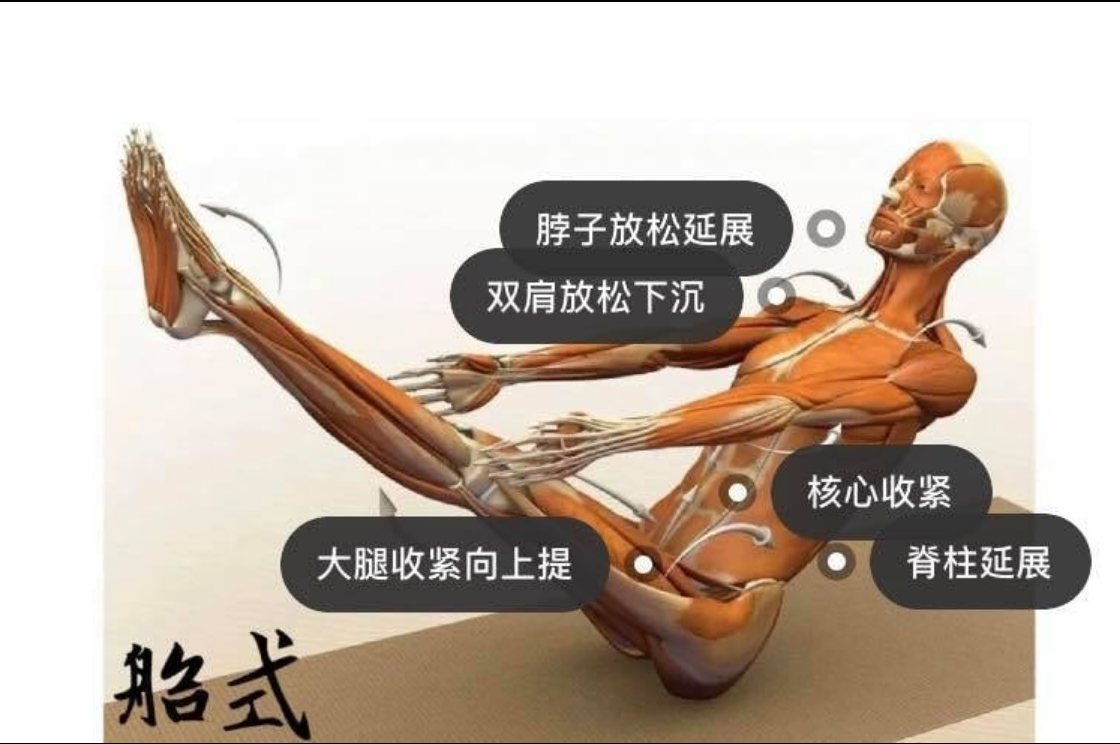 28 个常见瑜伽体式解剖图「03」——瑜伽正位、发力点、要点一目了然  瑜伽体式解刨图 西安瑜伽培训 瑜伽体位法 瑜伽正位 学瑜伽 封闭式瑜伽培训 包食宿 就业 第 9 张 