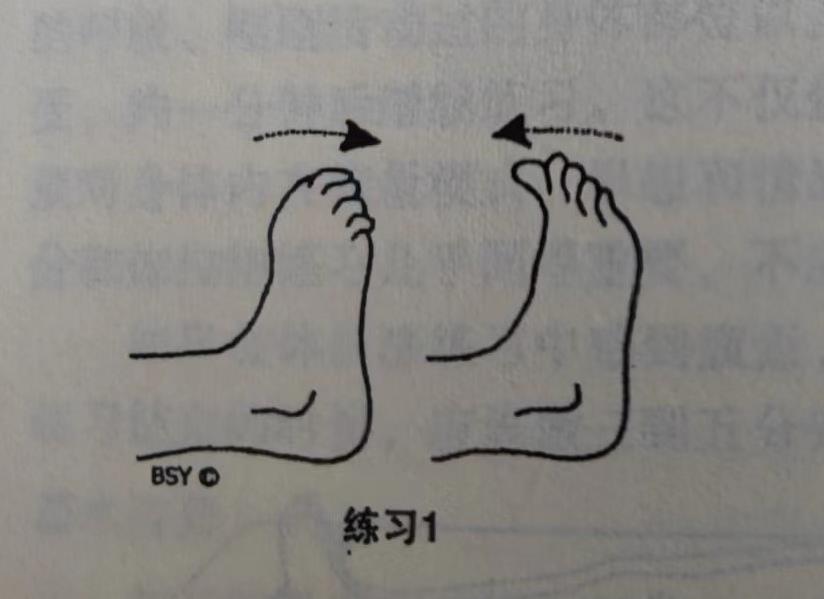 瑜伽体式库 -- 屈趾 Padanguli Naman (toe bending)  屈趾 第 1 张