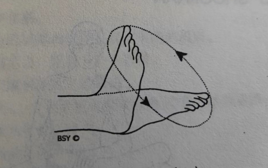 瑜伽体式库--旋踝 Goolf Chakra (ankle rotation)