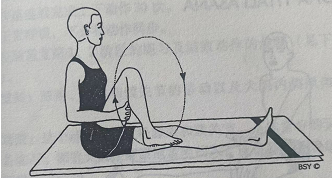 旋膝 Janu Chakra(knee crank)  旋膝 Janu Chakra Knee crank 第 1 张