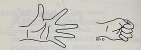 握拳 Mushtika Bandhana (hand clenching)  握拳 Mushtika hand clenching 第 1 张