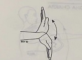屈腕 Manibandha Naman (wrist bending)  屈腕 Manibandha wrist bending 第 1 张