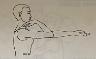屈肘 Kenhuni Naman(elbow bending)  屈肘 Kehuni Naman elbow bending 第 1 张