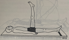 举腿式 Padotthanasana(raised legs pose)  举腿式 Padotthanasana raised pose 第 1 张