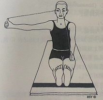 前视和侧视（Front and sideways viewing）  前视和侧视 Front viewing 第 1 张
