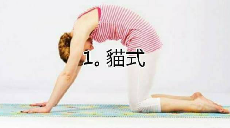 送你一份瑜伽全天时间表, 舒缓压力, 放松身心, 让你一整天精神满满! 7 个瑜伽动作，让你精神一整天!  第 1 张