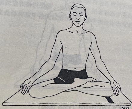半莲花式 Ardha Padmasana(half lotus pose)  半莲花式.Ardha Padmasana half pose 第 1 张