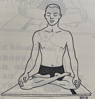 莲花式 Padmasana(lotus pose)  莲花式 Padmasana lotus pose 第 1 张
