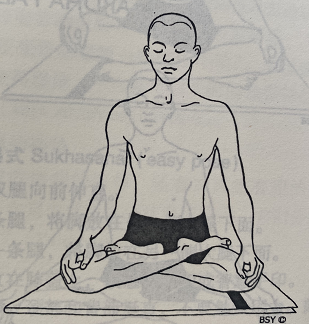 莲花式Padmasana(lotus pose)