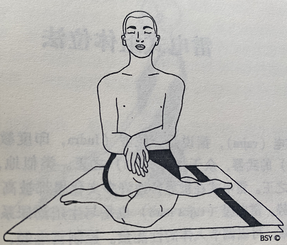 英雄冥想式 Dhyana Veerasana(hero's meditation pose)  英雄冥想式 Dhyana Veerasana hero's pose 第 1 张