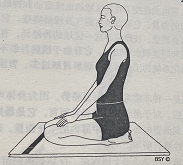 雷电式 Vajrasana ( thunderbolt pose )