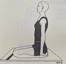 陶醉极乐式 Ananda Madirasana (intoxicating bliss pose)  pose 第 1 张