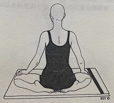 典雅式 Bhadrasana (gracious pose)  pose 第 1 张