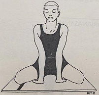 狮子式 Simhasana (lion pose)  pose 第 1 张