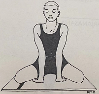 狮子式 Simhasana ( lion pose)