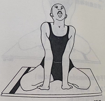 狮吼式 Simhagarjanasana (roaring lion pose)  pose 第 1 张