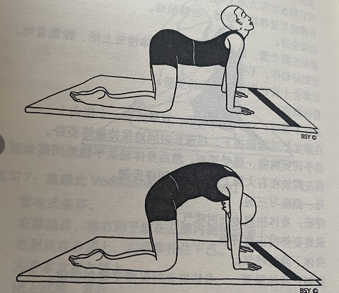猫伸展式 Marjarl-asana (Cat stretch pose)  猫伸展式 Marjarl-asana Cat pose 第 1 张