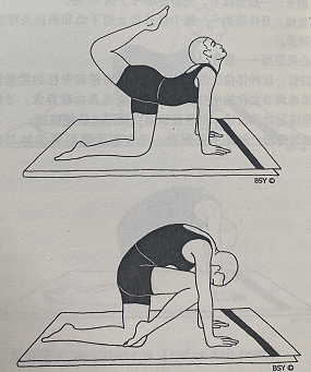 虎式 Vyaghrasana (tiger pose)  tiger pose 第 1 张
