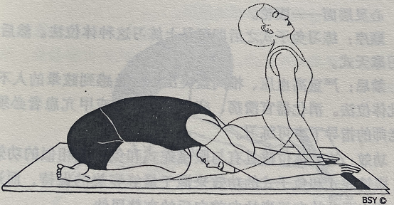 眼镜蛇攻击式 Shashank Bhujangasana (strikin pose)  第 1 张