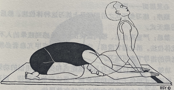 眼镜蛇攻击式 Shashank Bhujangasana ( strikin pose ) 