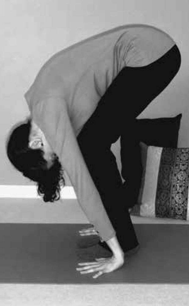 阿育吠陀疗愈 -- 瑜伽拜日式（Surya Namaskar）  第 13 张