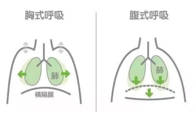 你注意过自己的呼吸吗? 你是否苦于情绪的纠缠? 是否对瑜伽呼吸有所困惑?  第 2 张