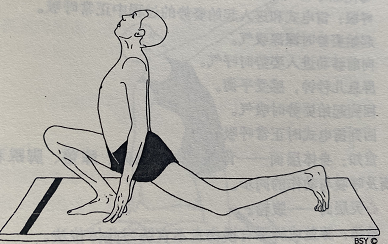 骑马式Ashwa Sanchalanasana(equestrian pose)