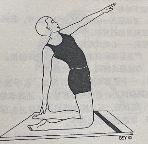 半骆驼式 Ardha Ushtrasana(half camel pose)  半骆驼式 Ardha Ushtrasana half pose 第 1 张