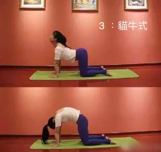 瑜伽跪姿的妙处，你知道几个?  第 3 张