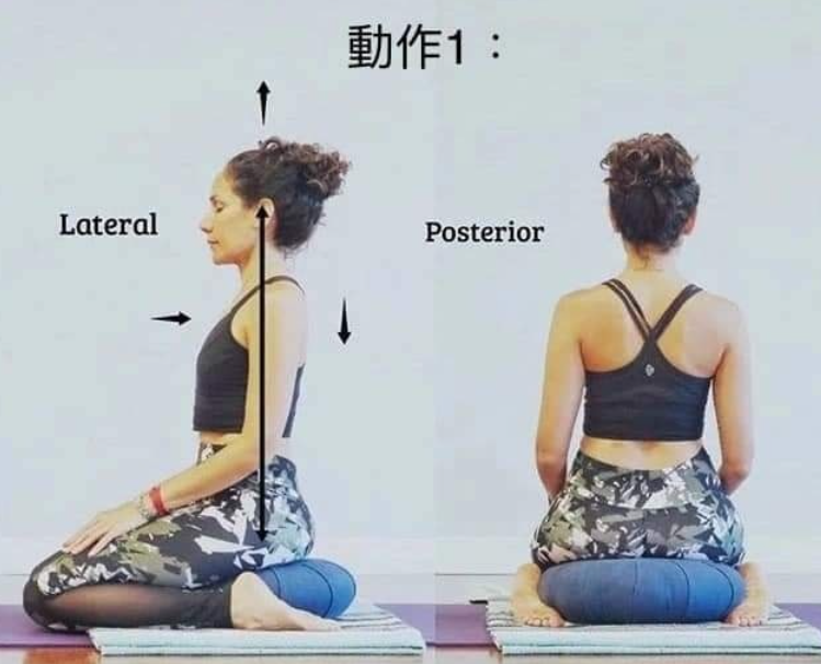 20 个常见体式“力的走向图”，练瑜伽知道如何发力很重要!  第 2 张
