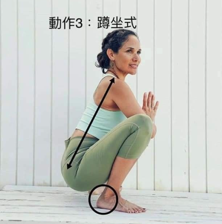 20 个常见体式“力的走向图”，练瑜伽知道如何发力很重要!  第 3 张