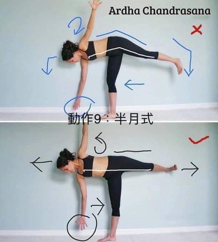 20 个常见体式“力的走向图”，练瑜伽知道如何发力很重要!  第 9 张