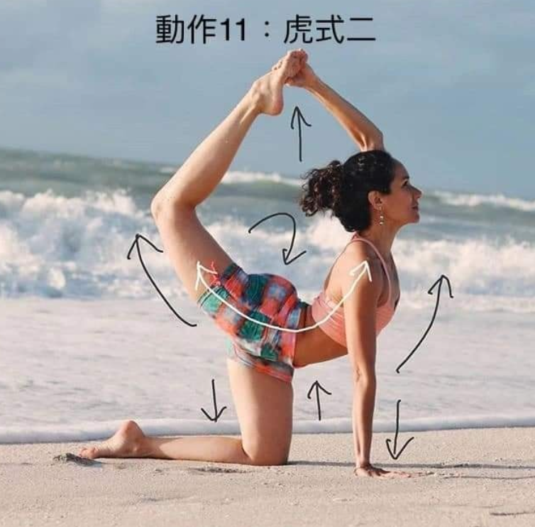 20 个常见体式“力的走向图”，练瑜伽知道如何发力很重要!  第 11 张