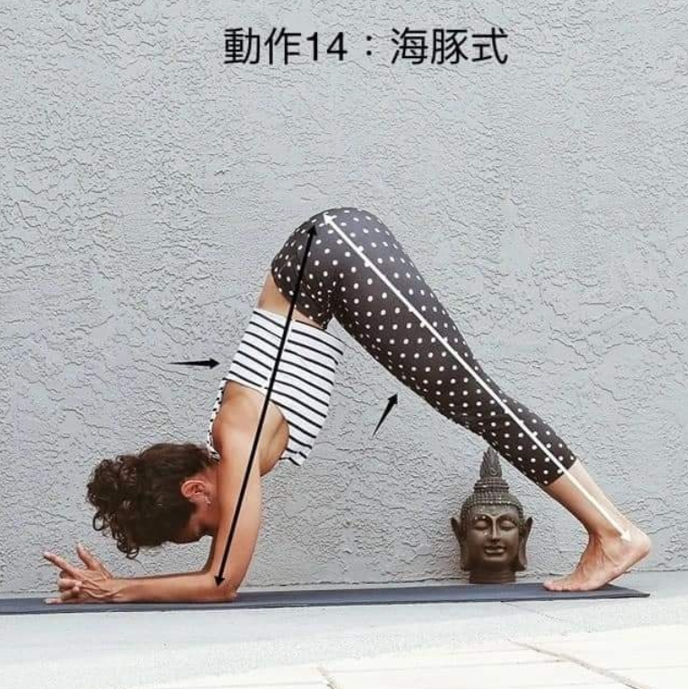 20 个常见体式“力的走向图”，练瑜伽知道如何发力很重要!  第 14 张